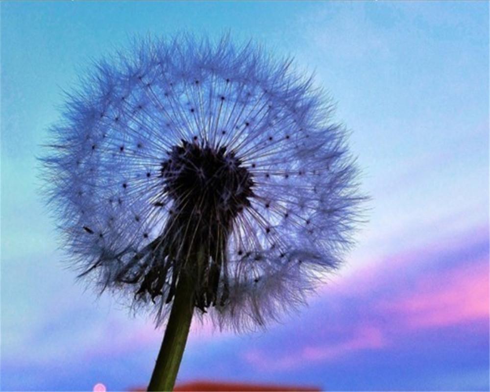 Diente de León con Cielo Hermoso de Color Azul y Morado Pintar por Números