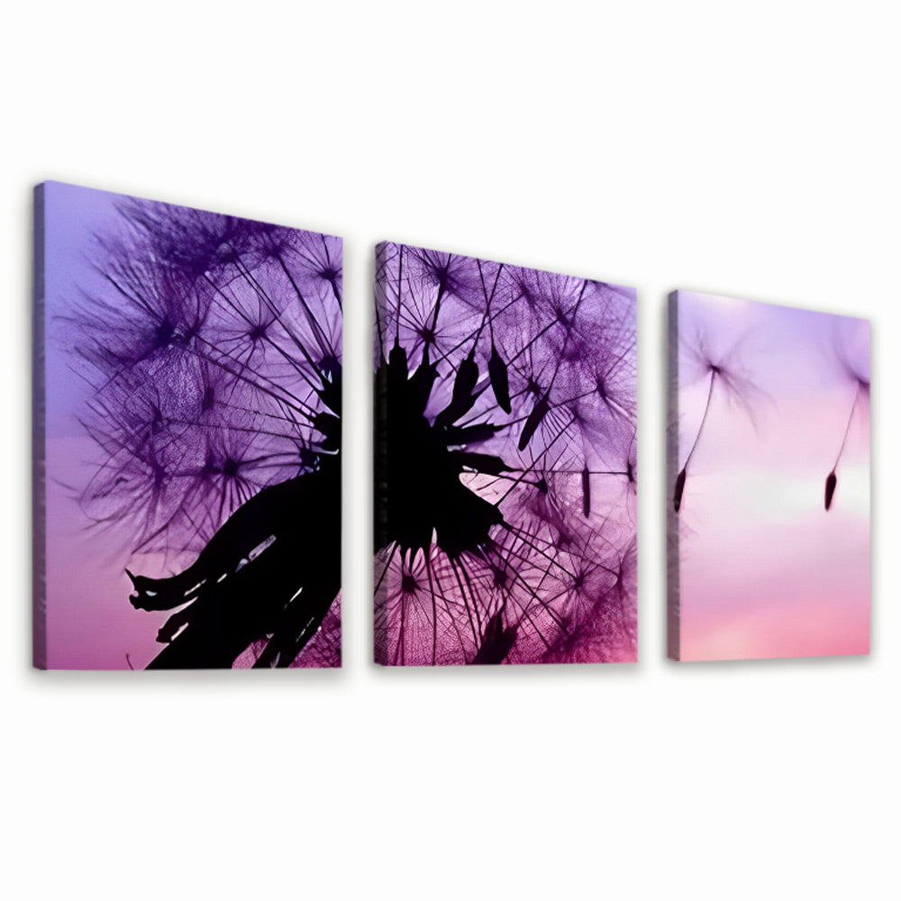 Diente de León con Semillas en el Fondo Morado 3 Partes Pintar por Números