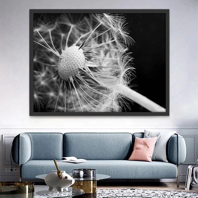 Diente de León de Cerca en Blanco y Negro Pintar por Números