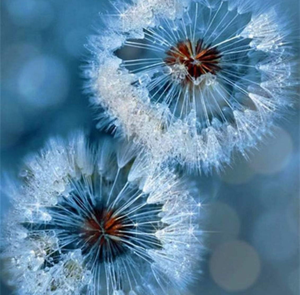 Diente de León de Color Azul con Fondo Difuso Pintar por Números