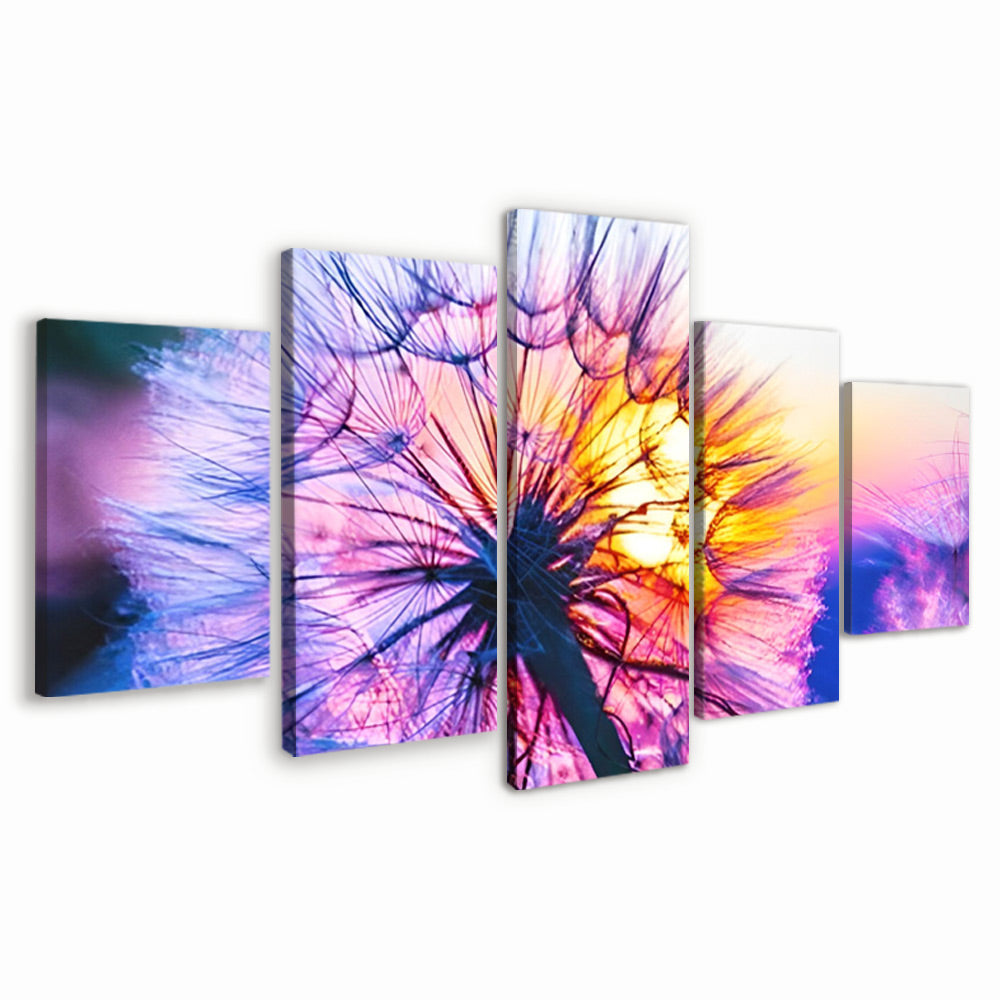 Diente de León de Color Morado al Atardecer 5 Partes Pintar por Números