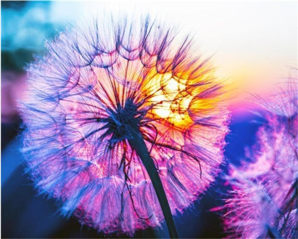 Diente de León de Color Morado con la Puesta del Sol Pintar por Números
