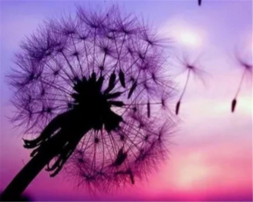 Diente de León en el Viento con Cielo Morado y Rosado Pintar por Números