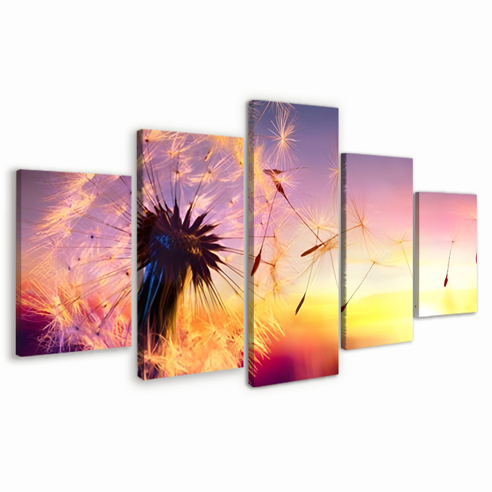 Diente de León en el Viento con la Puesta del Sol 5 Partes Pintar por Números