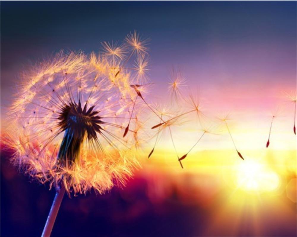 Diente de León en el Viento Durante la Puesta del Sol Pintar por Números