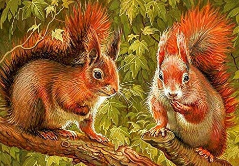 Dos Ardillas sobre Árbol Verde Pintar por Números