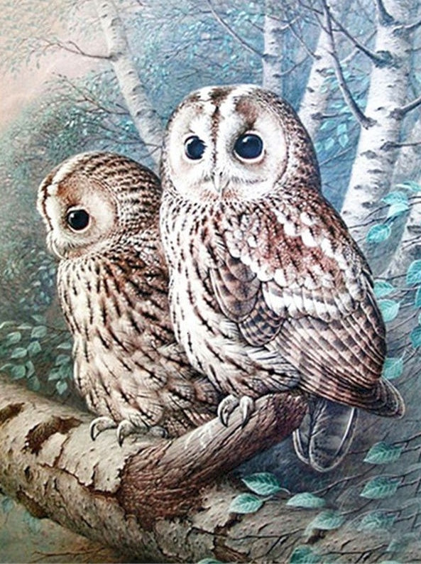 Dos Búhos sobre Árbol Pintar por Números