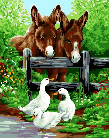 Dos Burros Mirando Patos por Valla Pintar por Números