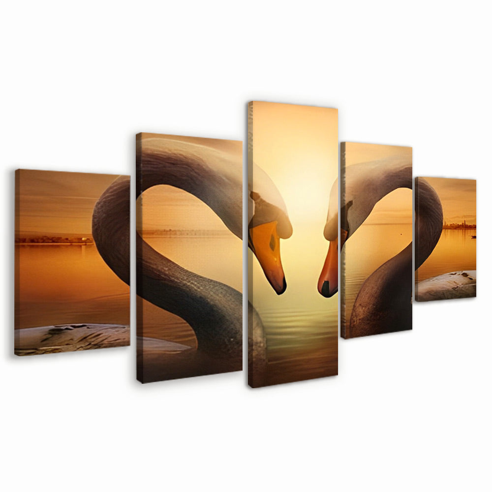 Dos Cisnes Enamorados 5 Partes Pintar por Números