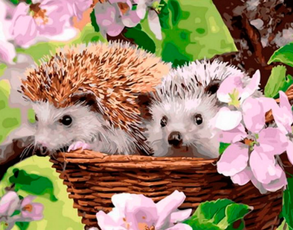 Dos Erizos con Flores Rosadas Pintar por Números