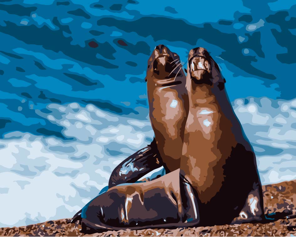 Dos Focas en la Playa Pintar por Números