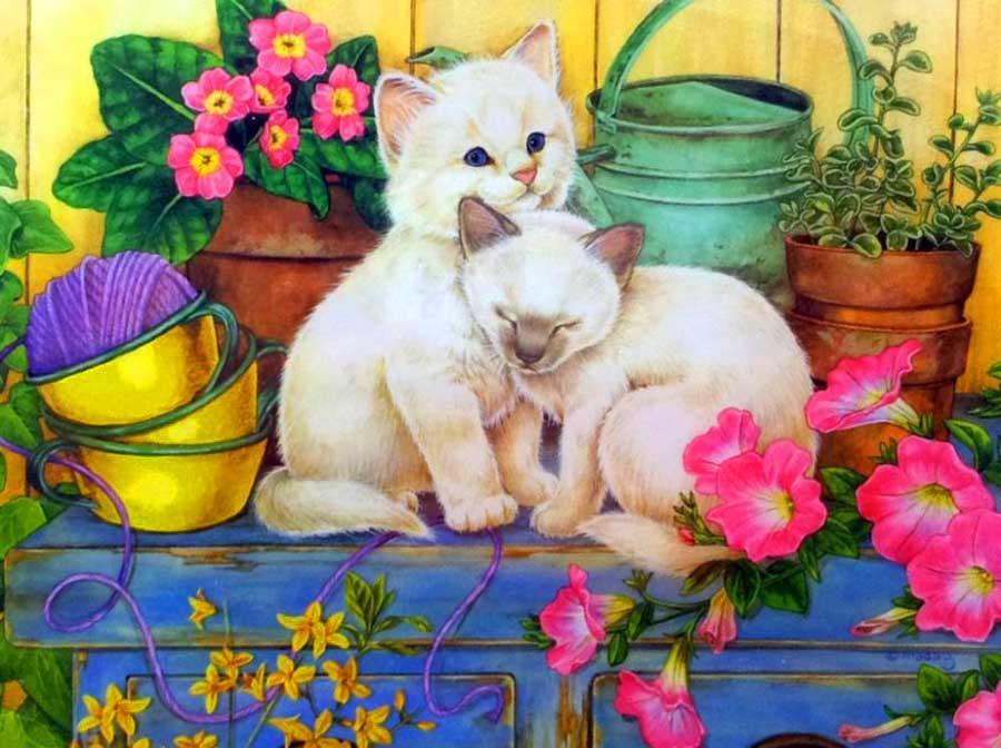 Dos Gatos Blancos y Macetas de Plantas Pintar por Números
