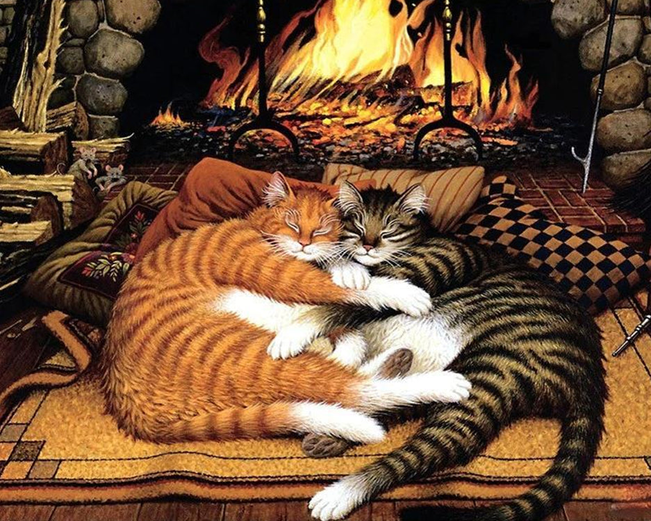 Dos Gatos Durmiendo al Lado de Chimenea Pintar por Números
