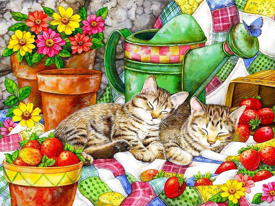 Dos Gatos Durmiendo en la Manta Pintar por Números