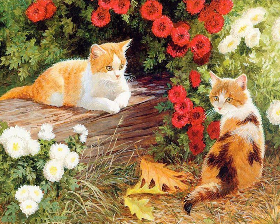Dos Gatos en Las Flores Pintar por Números