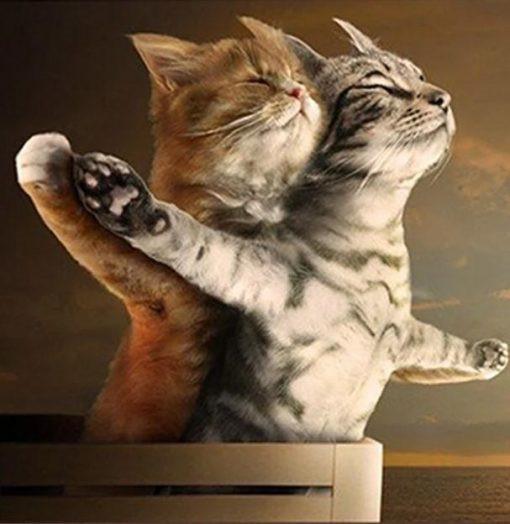 Dos Gatos Imitando la Acción Famosa en la Película de Titanic Pintar por Números