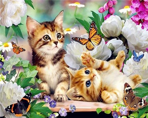 Dos Gatos Jugando con Mariposa en las Flores Pintar por Números