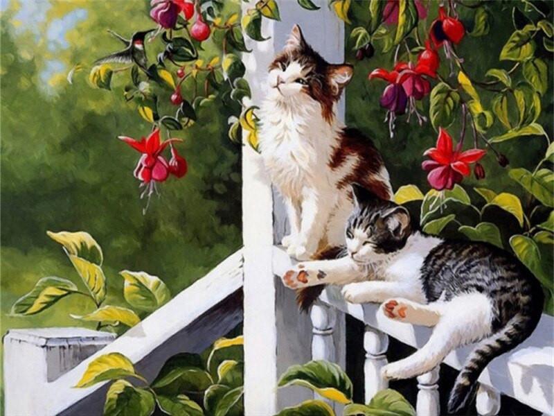 Dos Gatos Tomando el Sol en la Barandilla Blanca Pintar por Números