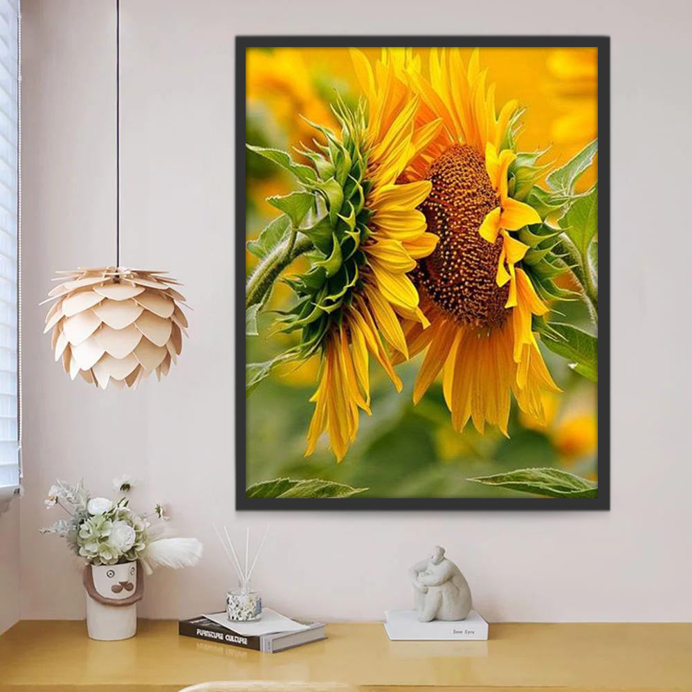 Dos Girasoles Uno Frente al Otro de Cerca Pintar por Números