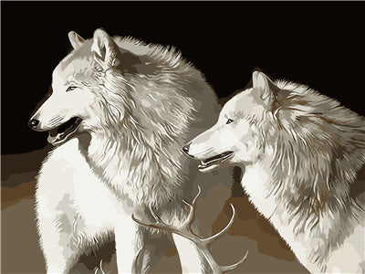 Dos Lobos Blancos con Fondo Negro Pintar por Números