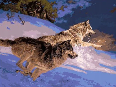 Dos Lobos Corriendo sobre la Nieve Pintar por Números
