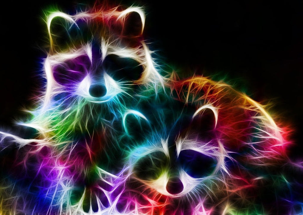 Dos Mapaches Coloridos Pintar por Números