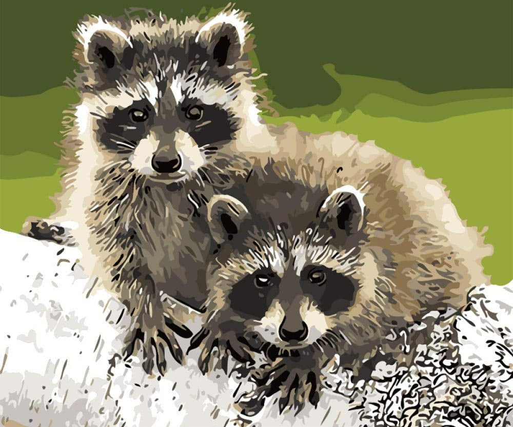 Dos Mapaches sobre Rama de Árbol Pintar por Números