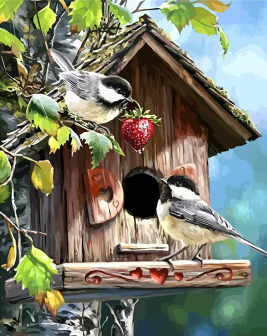 Dos Pajaritos y Casita para Pájaros Pintar por Números