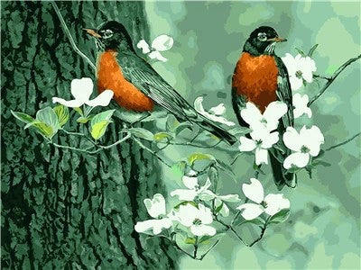 Dos Pájaros con Rama Floral Pintar por Números