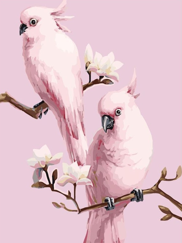 Dos Pájaros de Color Rosado Pintar por Números