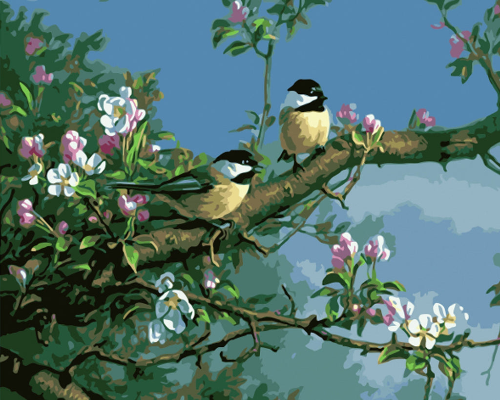 Dos Pájaros en Rama Floral Pintar por Números