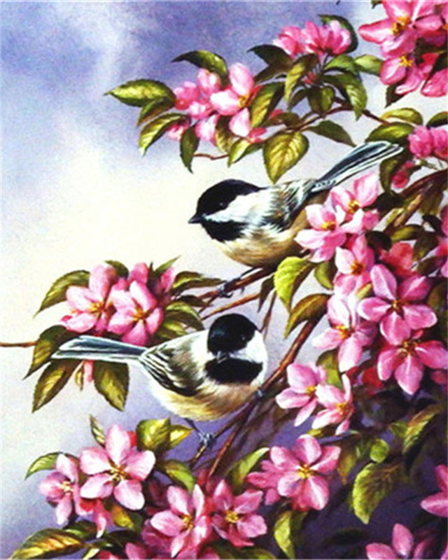 Dos Pájaros entre Flores Rosadas Pintar por Números