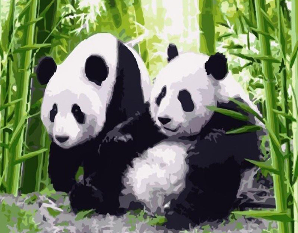 Dos Pandas entre Bosque de Bambú Pintar por Números