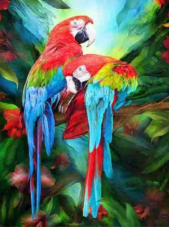 Dos Papagayos Bonitos sobre Rama Pintar por Números