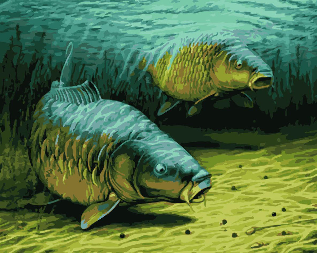 Dos Peces en Fondo Marino Pintar por Números