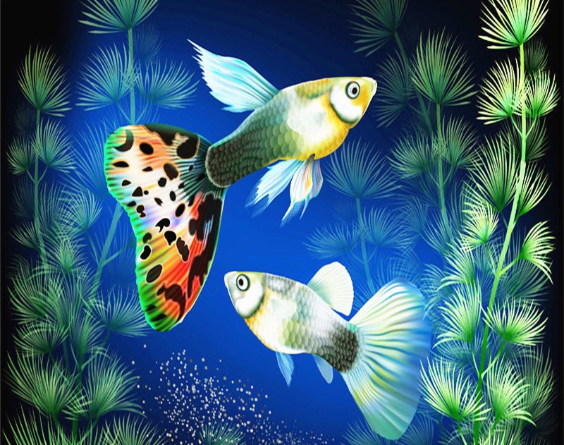 Dos Peces y Algas en el Mar Azul Pintar por Números