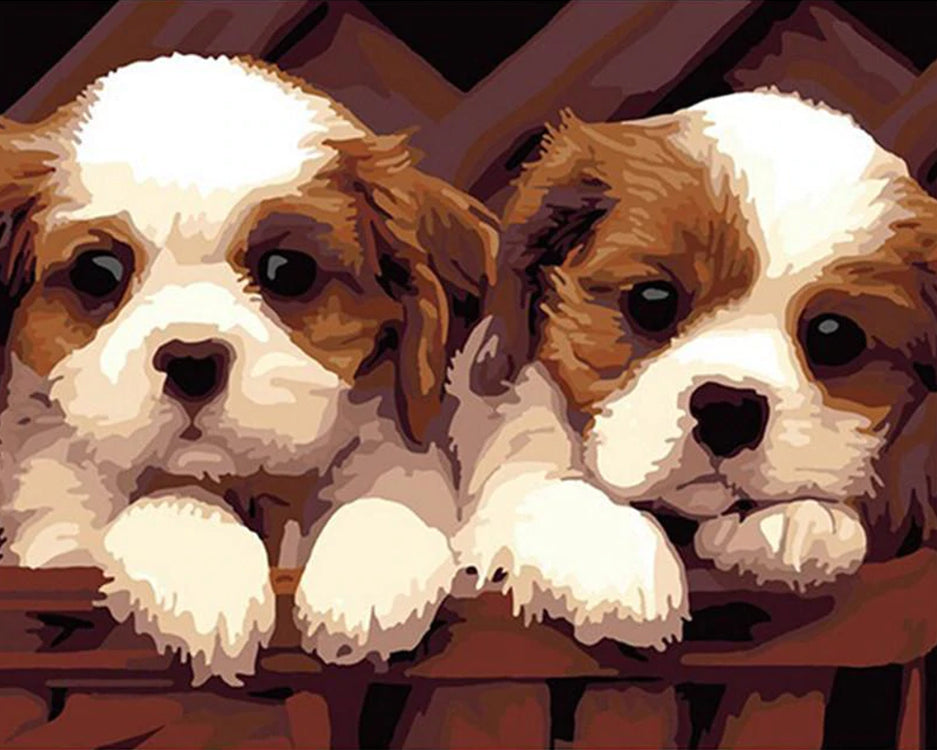 Dos Perritos Adorables Pintar por Números