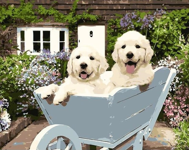 Dos Perritos Blancos Lindos Pintar por Números