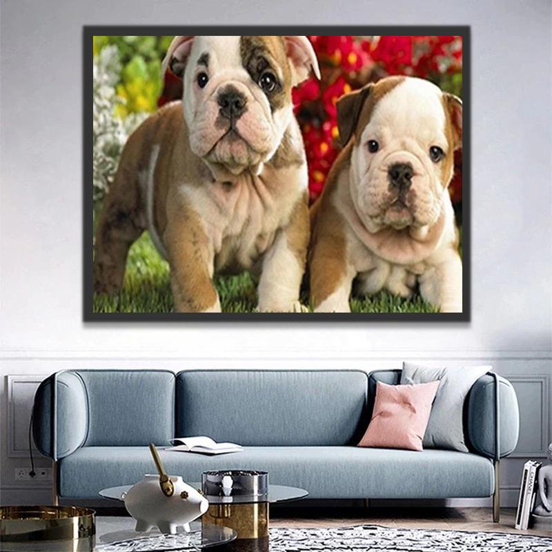 Dos Perritos en el Césped Pintar por Números