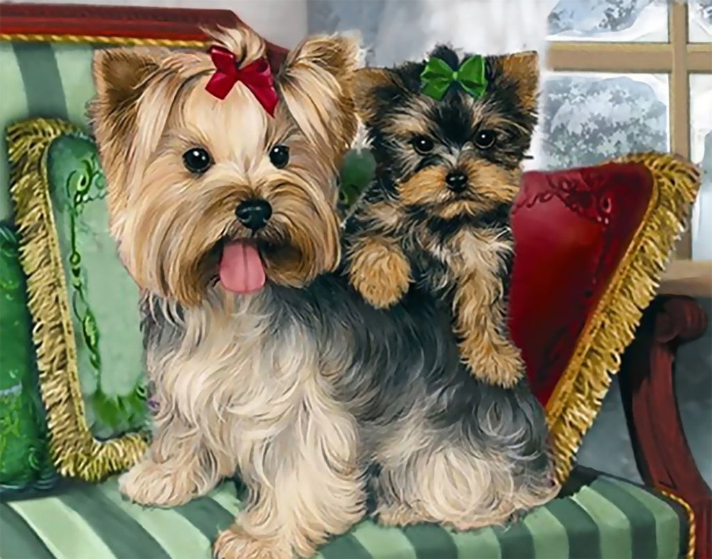 Dos Perros Adorables sobre el Sofá Pintar por Números