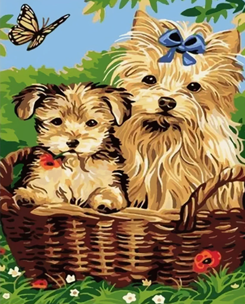 Dos Perros en Cesta Pintar por Números