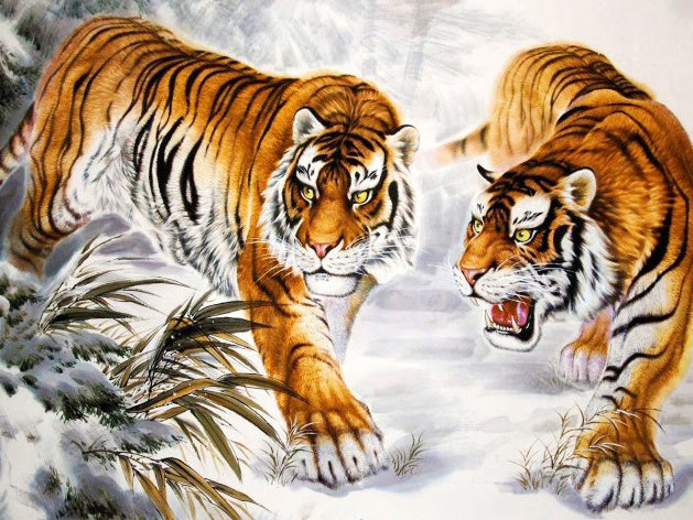 Dos Tigres en Bosque Invernal Pintar por Números