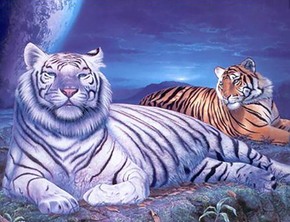 Dos Tigres en la Noche Pintar por Números