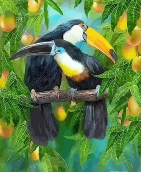 Dos Tucanes sobre Árbol Pintar por Números