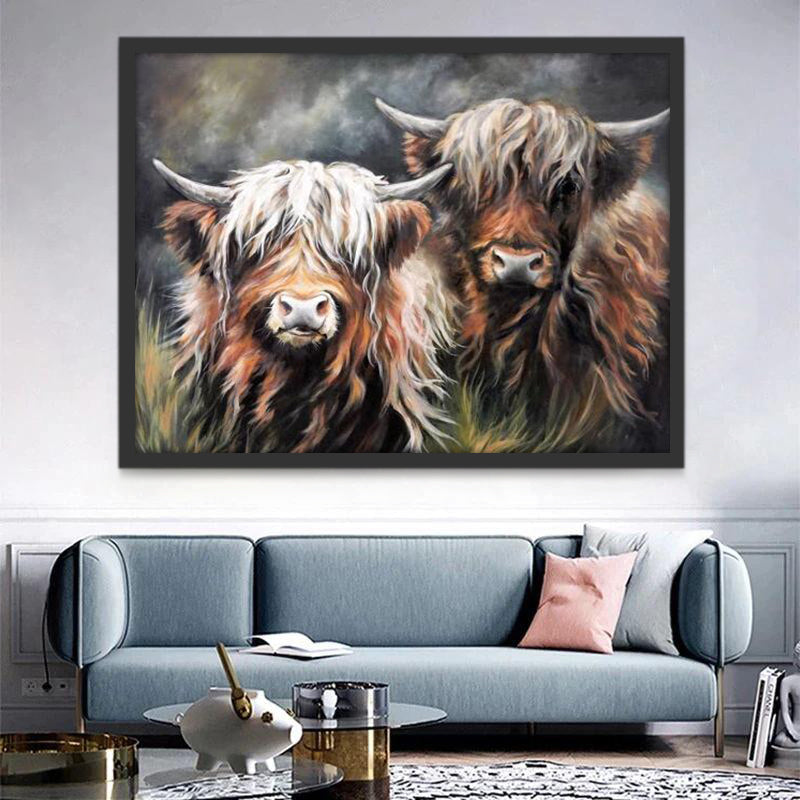 Dos Vacas de las Tierras Altas Pintar por Números
