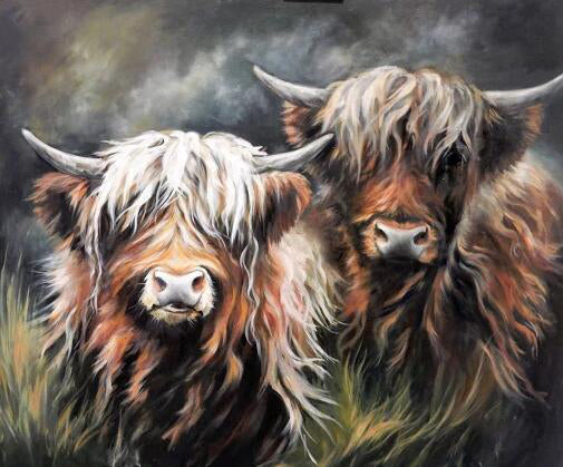 Dos Vacas de las Tierras Altas Pintar por Números