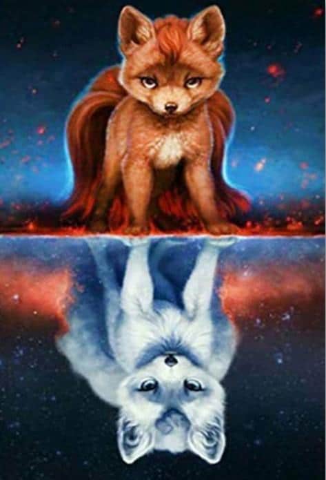 Dos Zorros Pequeños de Nueve Colas Pintar por Números