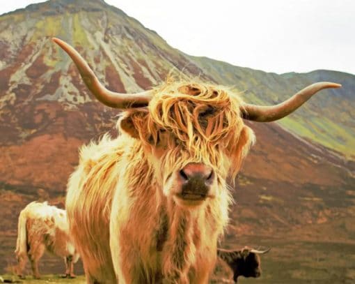 El Yak con Fondo de Montañas Pintar por Números