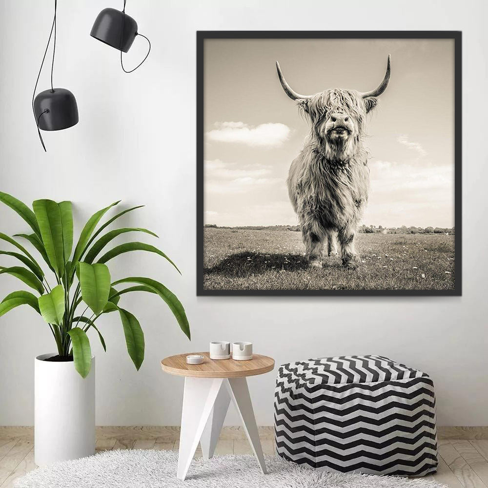 El Yak sobre la Pradera en Blanco y Negro Pintar por Números