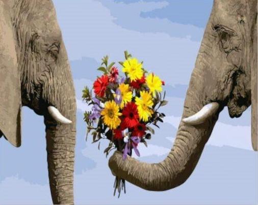 Elefante Dando Flores al Otro Elefante Pintar por Números
